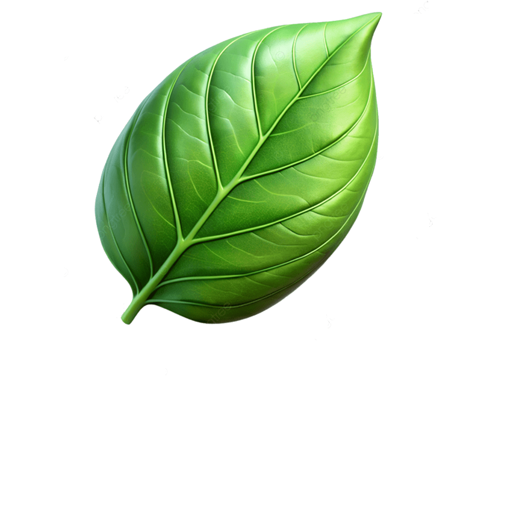 Zennesis Leaf Graphic