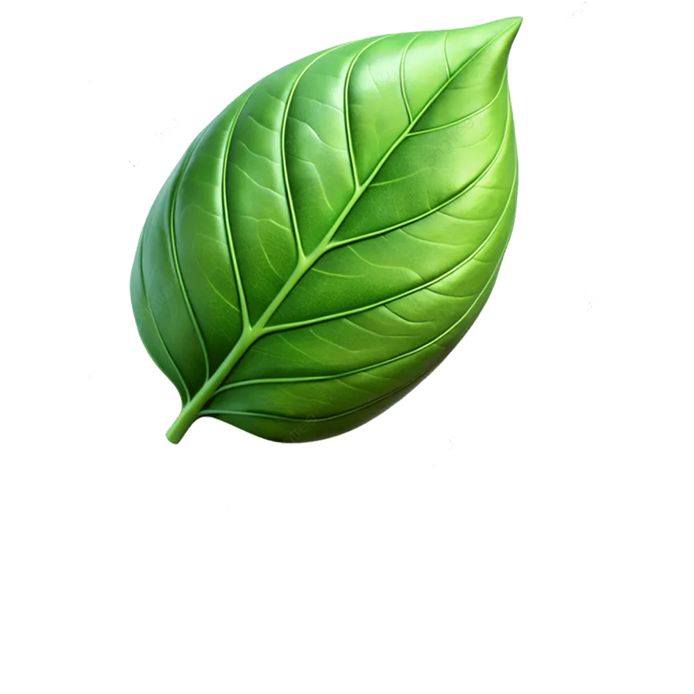 Leaf Graphic