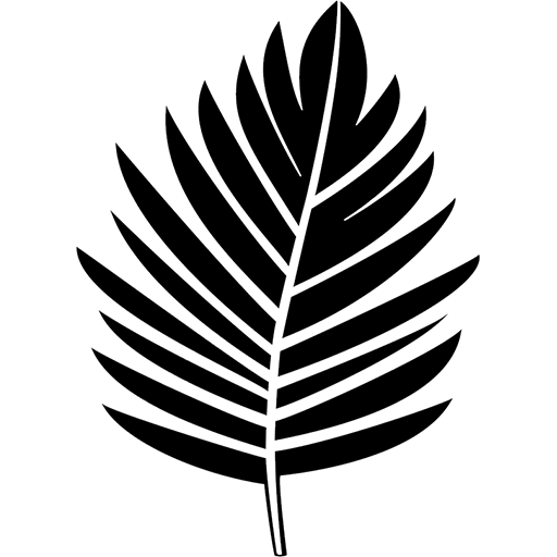 Zennesis Logo